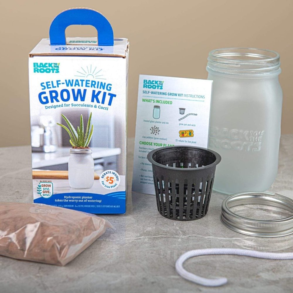 Self Watering Succulent/Cacti Grow Kit